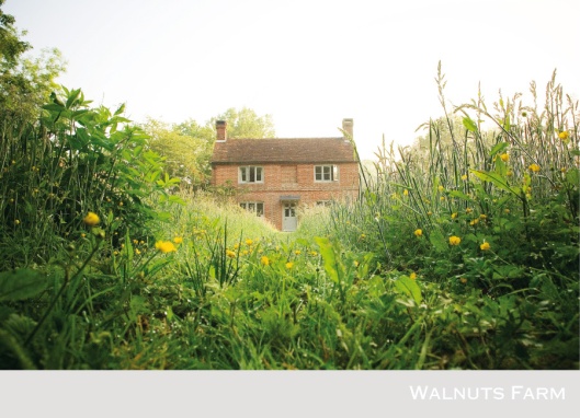 1645-walnuts-farm-location-house-front-meadow-2