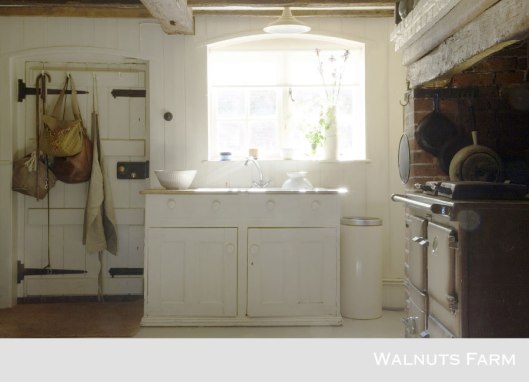 1667-walnuts-farm-location-house-kitchen-3