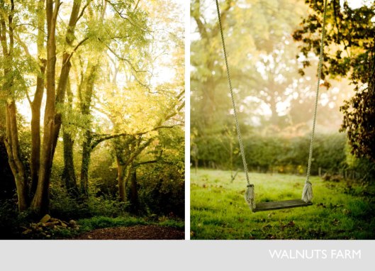 1949-walnuts-farm-film-and-photographic-rustic-shoot-location-house-ash-trees-swing-11